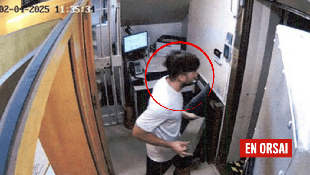 Milei, Novelli, criptoestafa, Libra, corrupción, política, justicia, Argentina, economía, criptomonedas